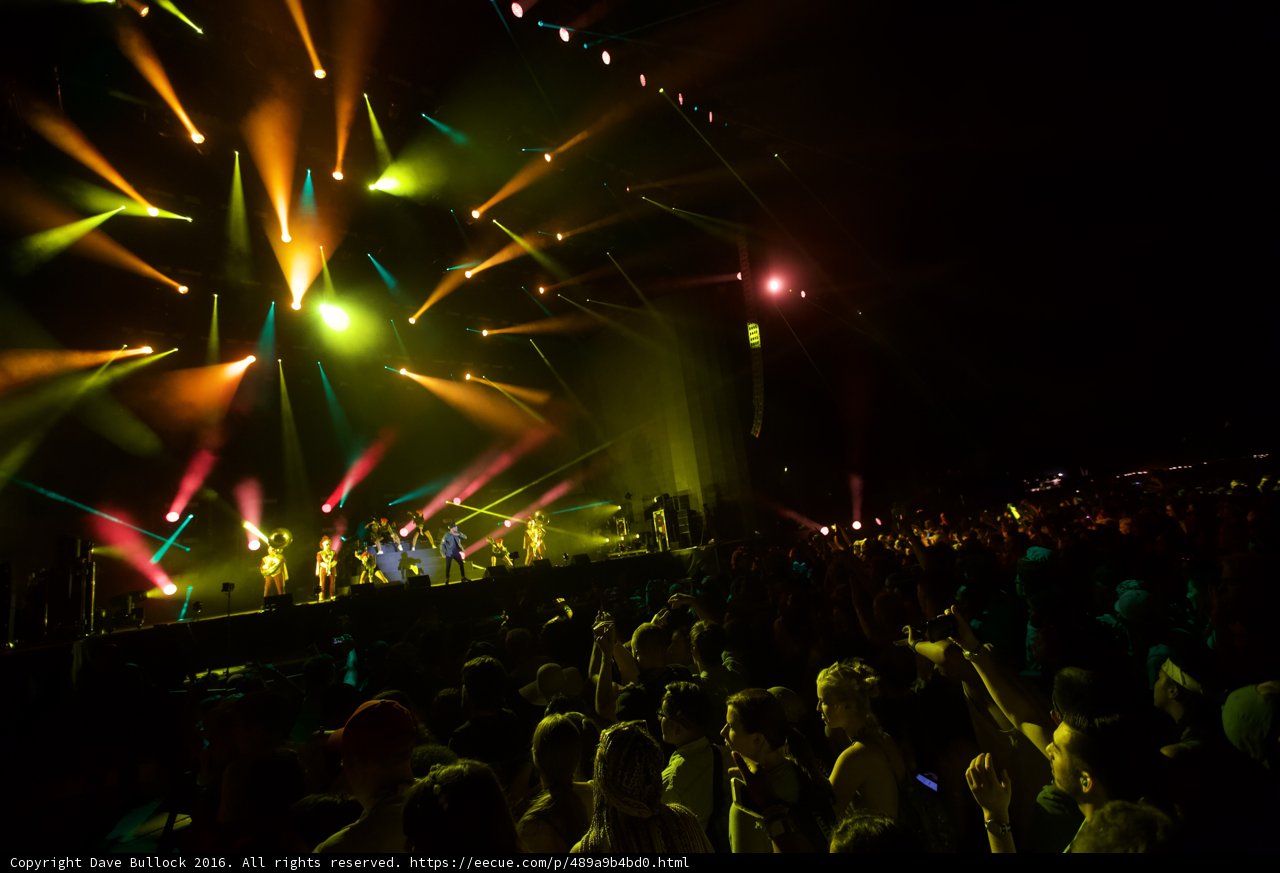 Bright Lights and Wild Nights
