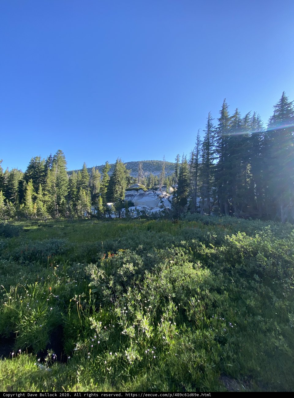 Majestic Wilderness View