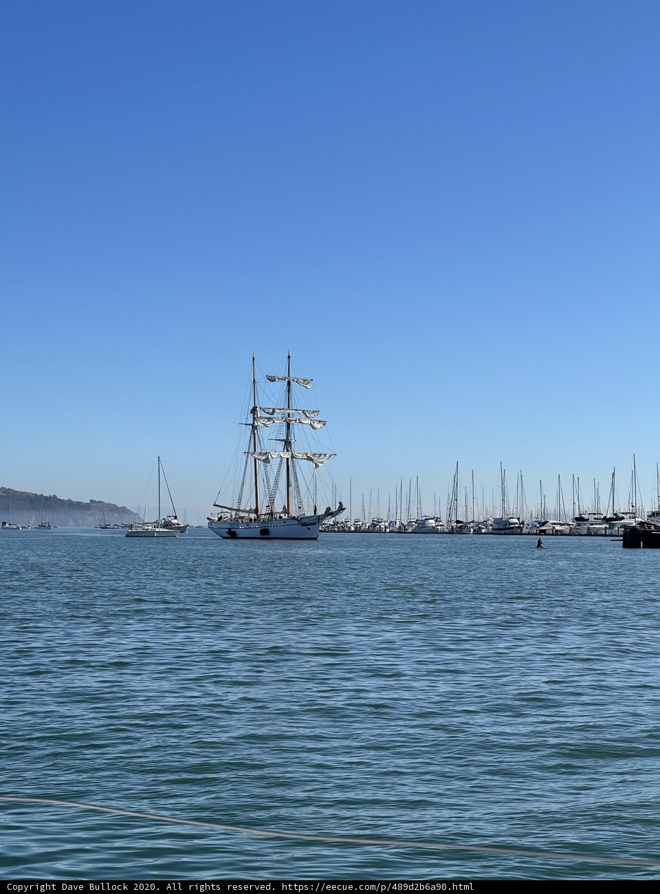 Sailboats in Richardson Bay