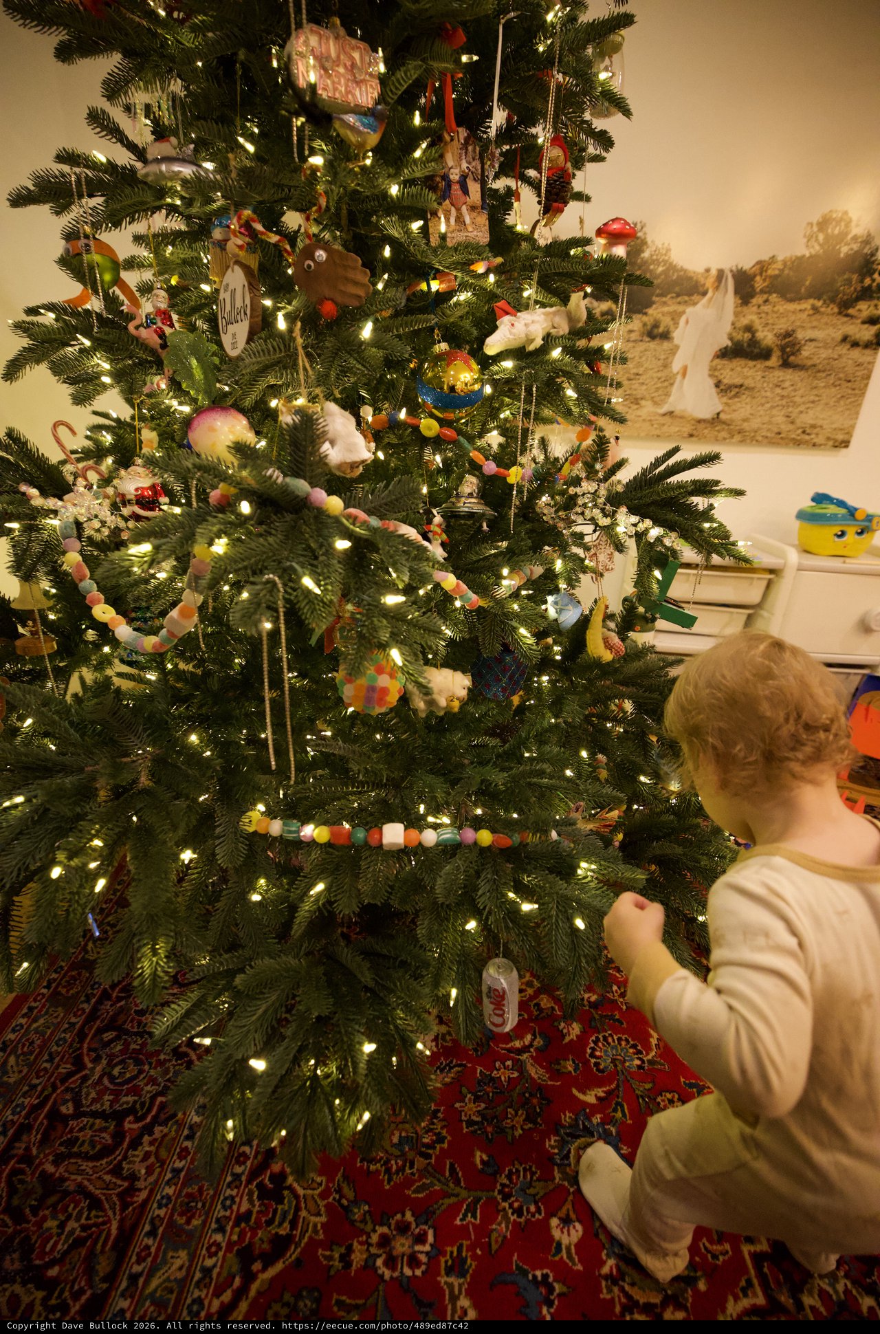 Child Admiring Decorated Christmas Tree on Holiday Morning