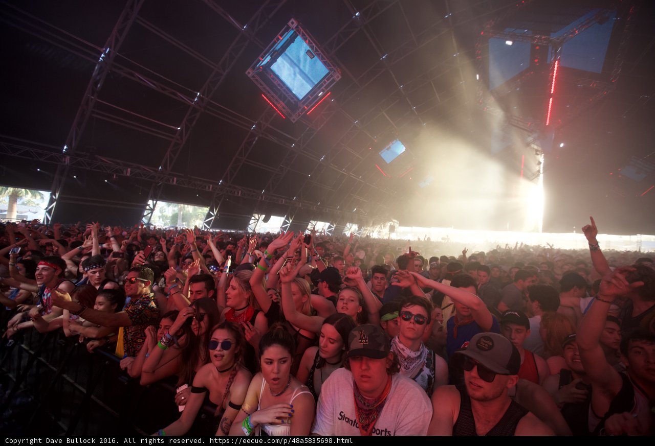 Coachella 2016: The Electric Crowd