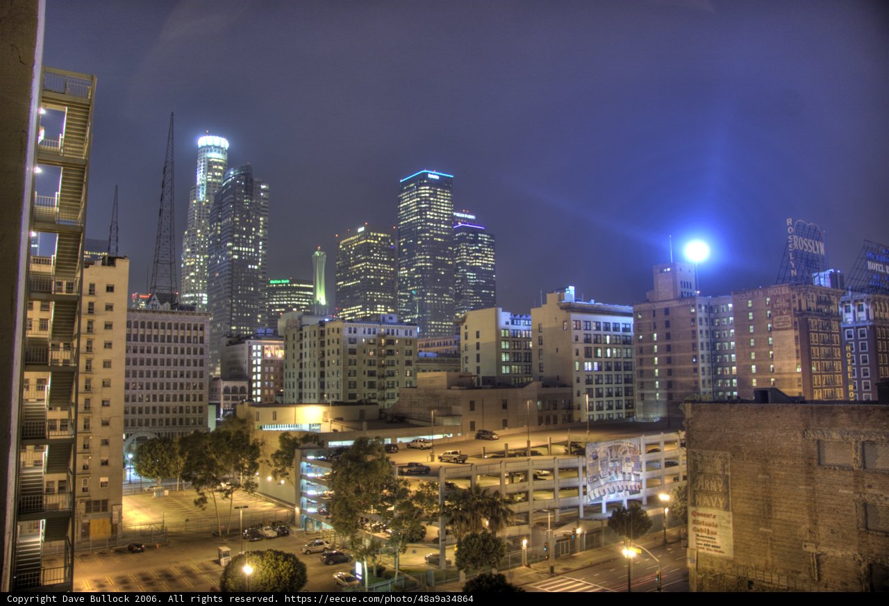 Nighttime in the Urban Jungle
