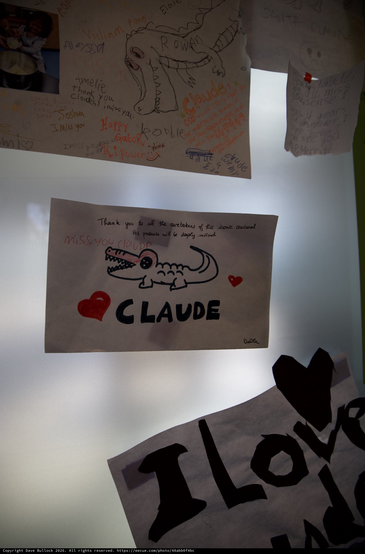 Memorial Tribute Wall for Claude the Alligator