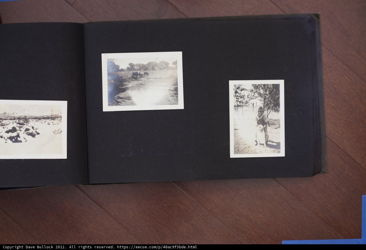 A Family Album