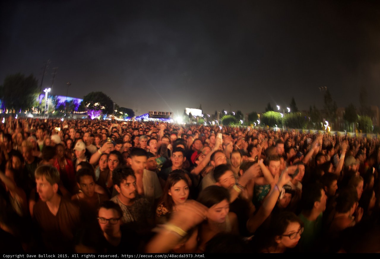 FYF Fest Crowd Rear View
