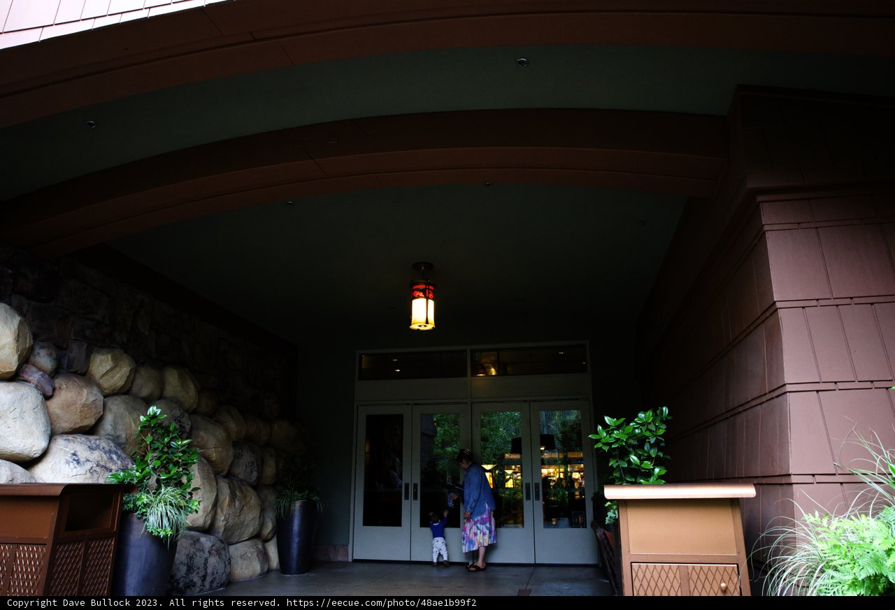 Magical Entryway to Disneyland Hotel
