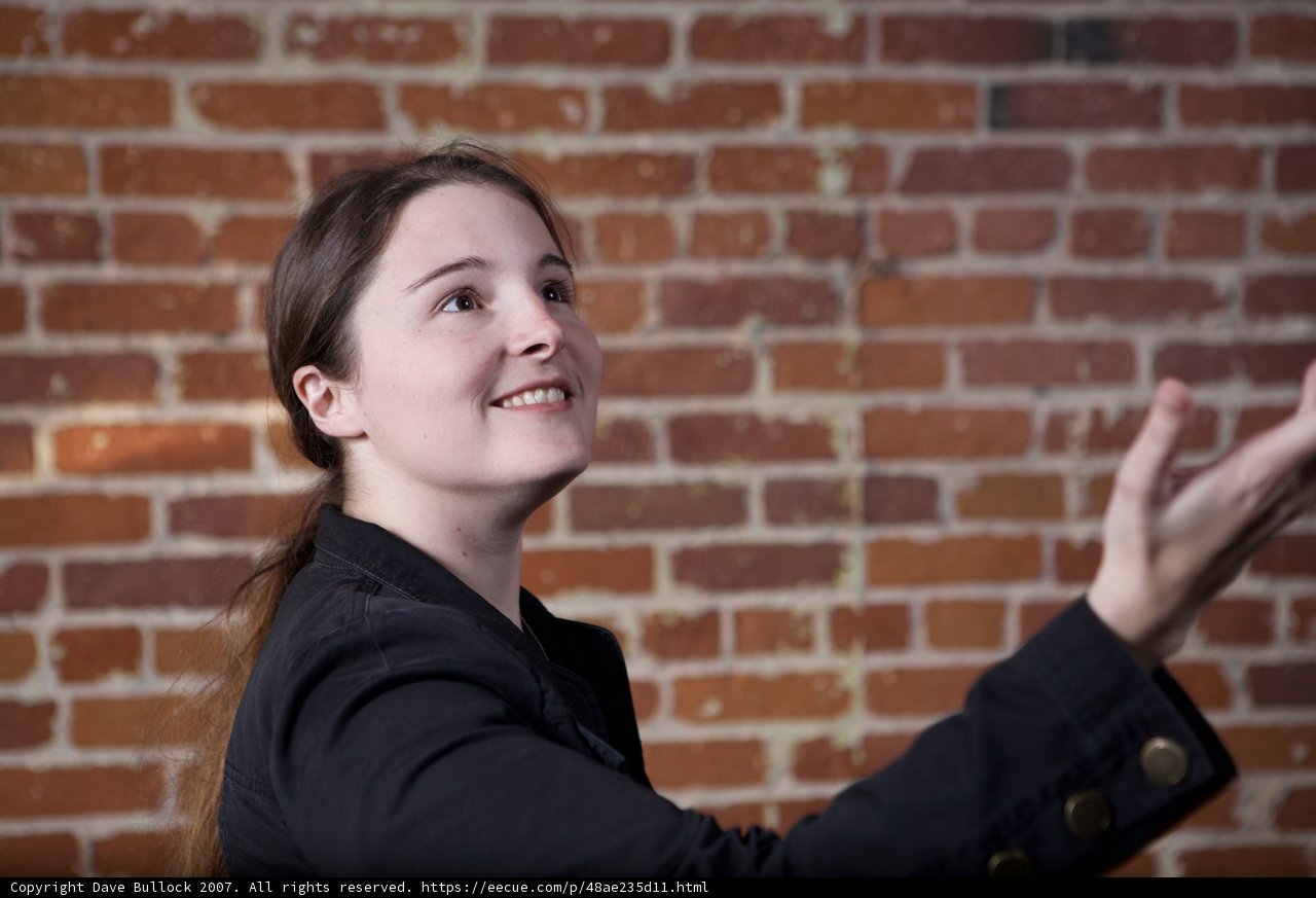 Brick Wall Smile