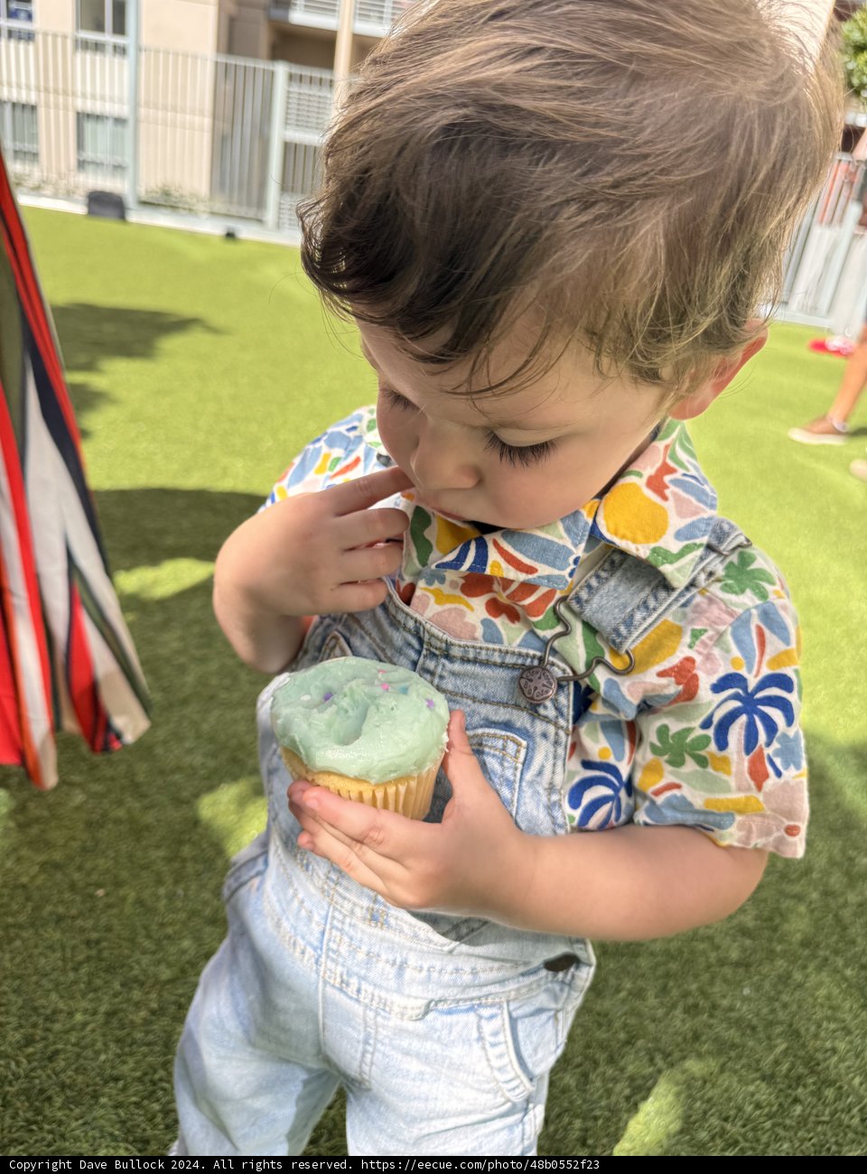 Sweet Moments of Summer