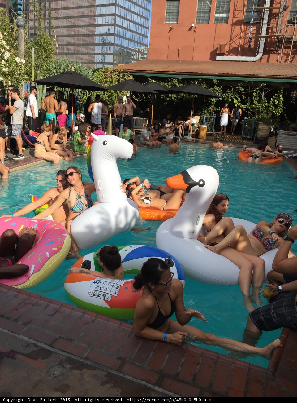 Summer Splash