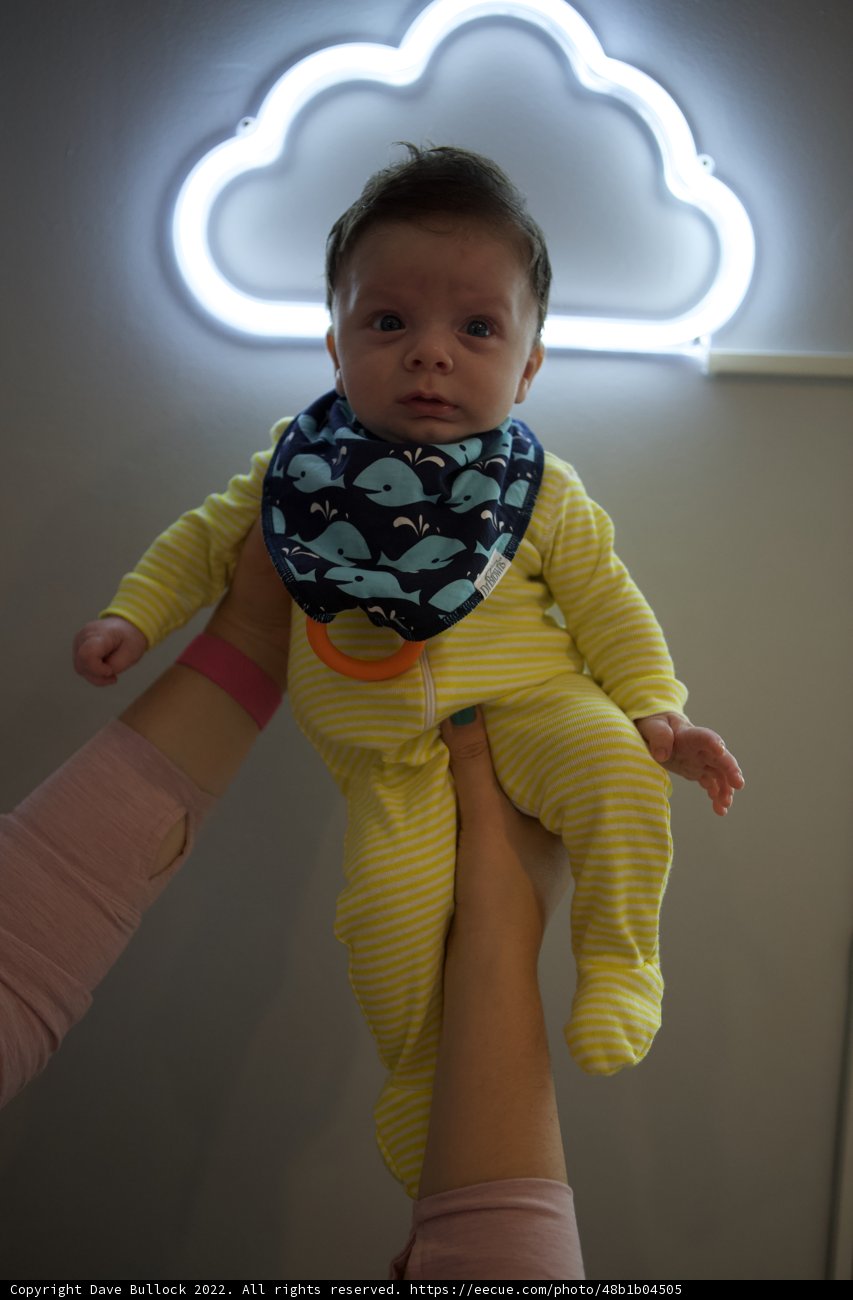 Welcoming Wesley into the World, September 2023
