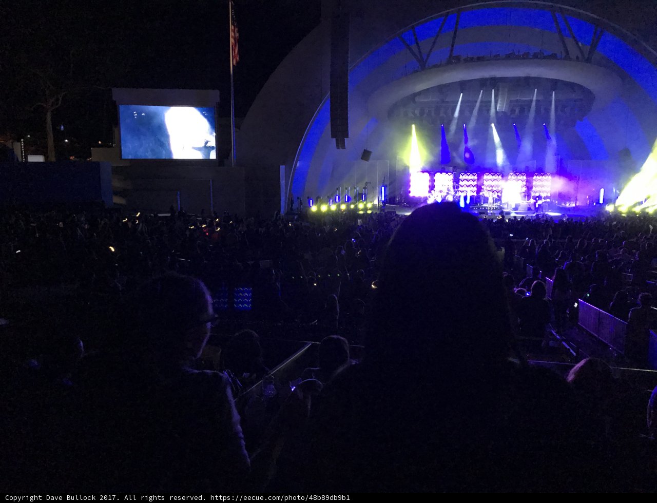 Night Life Rock Concert