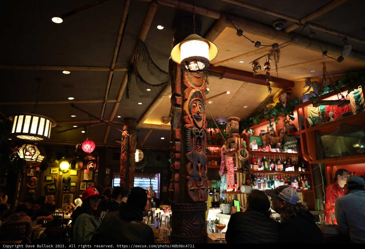 Tiki Bar Fun at Disneyland Hotel