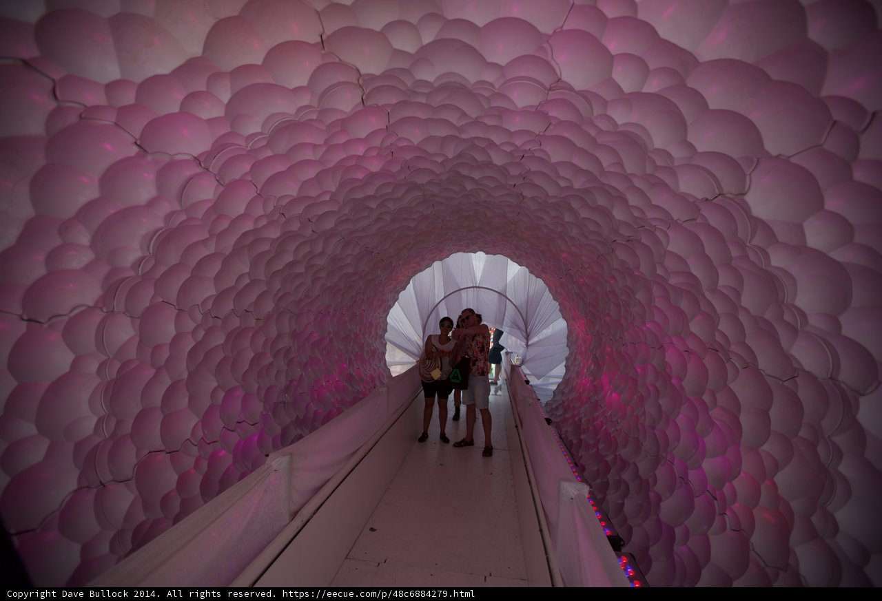 Walking Through a Tunnel of Pink Balloons