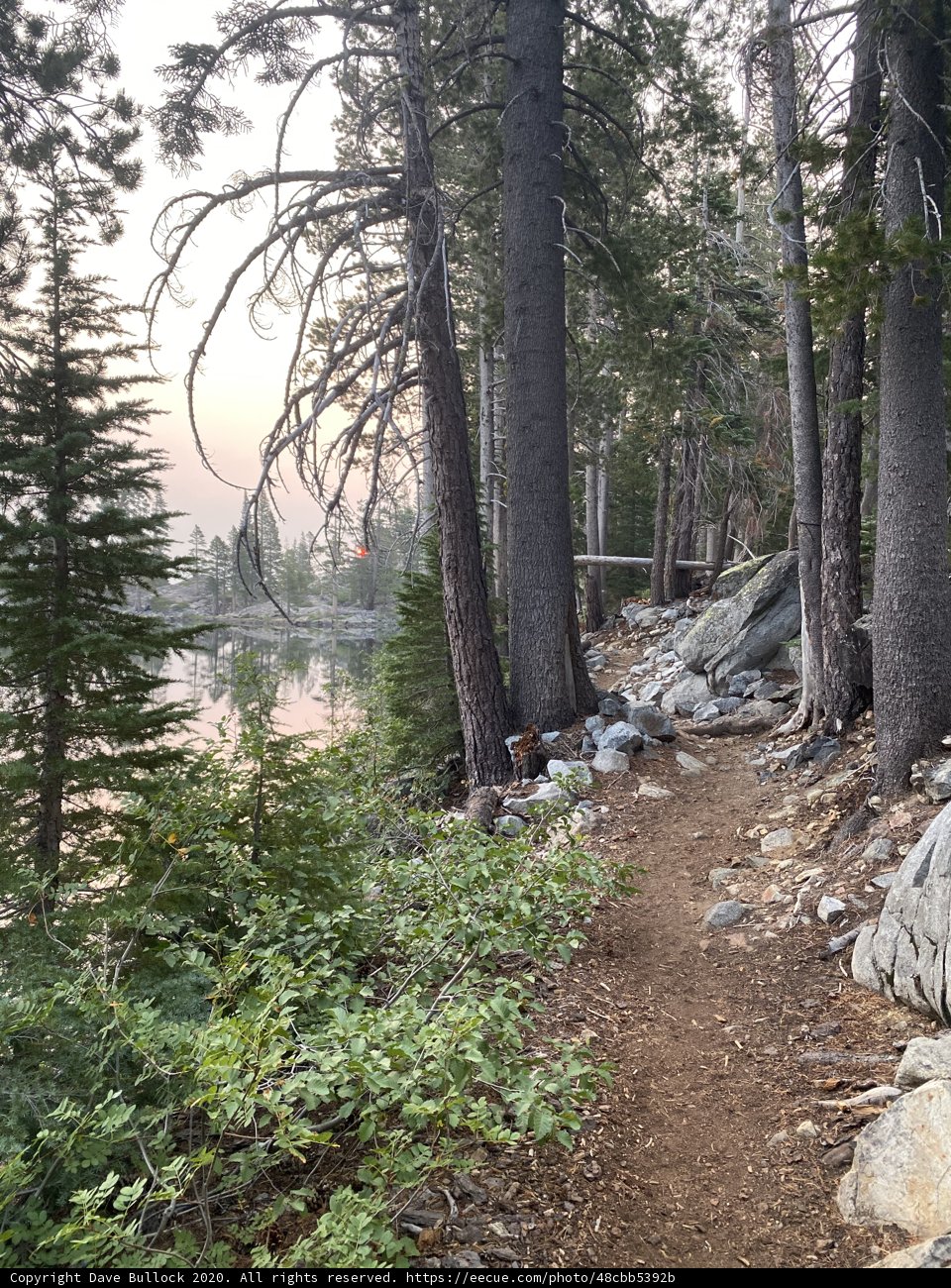 Into the Heart of the Wilderness