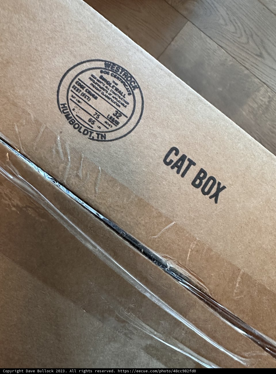 The Mysterious Cat Box