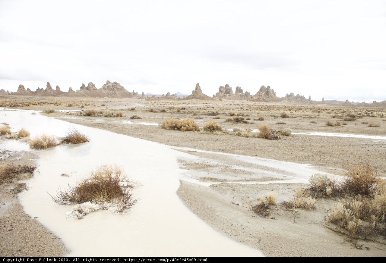 Oasis in the Desert