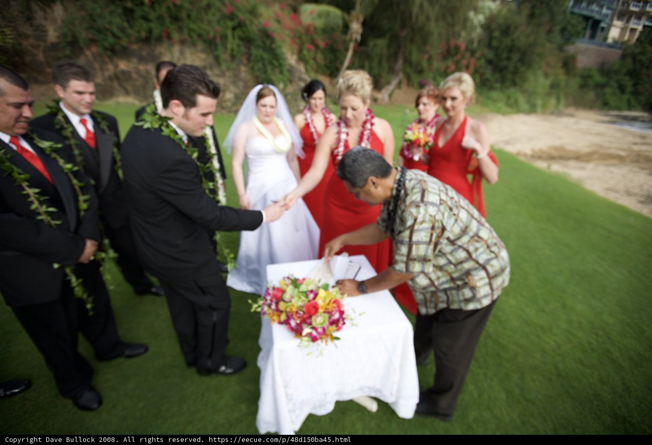 Wedding Cake Cutting with the Wedding Party