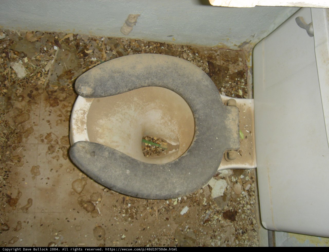 Filthy Toilet with Grimy Seat