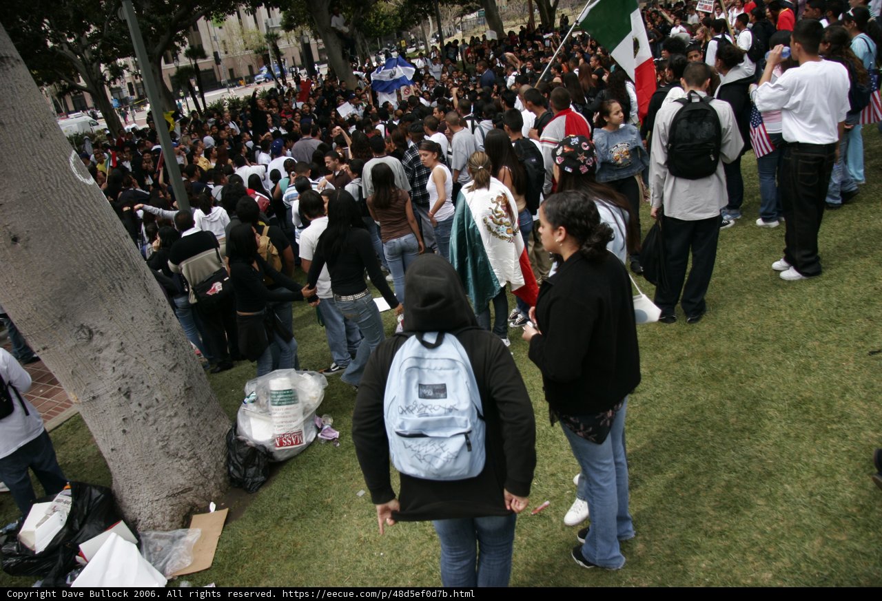 School Walkout Crowd on the Grass