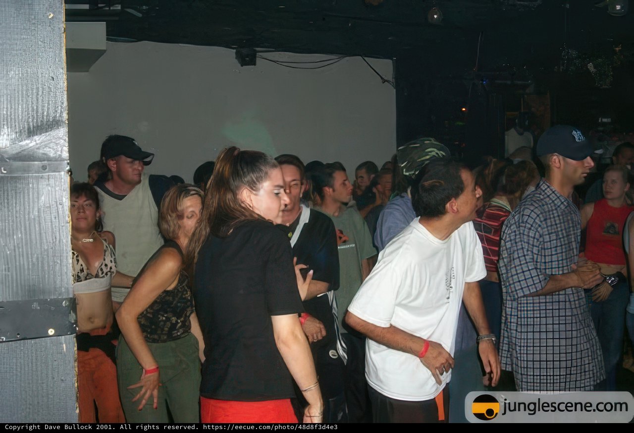 Disco Night