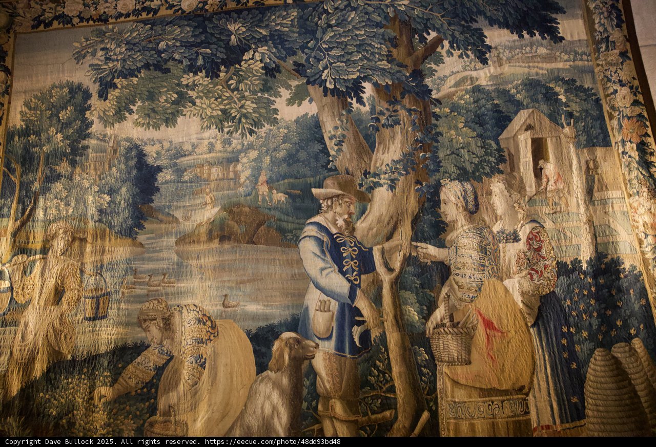 The Elegance of Tapestry: A Glimpse into the Past