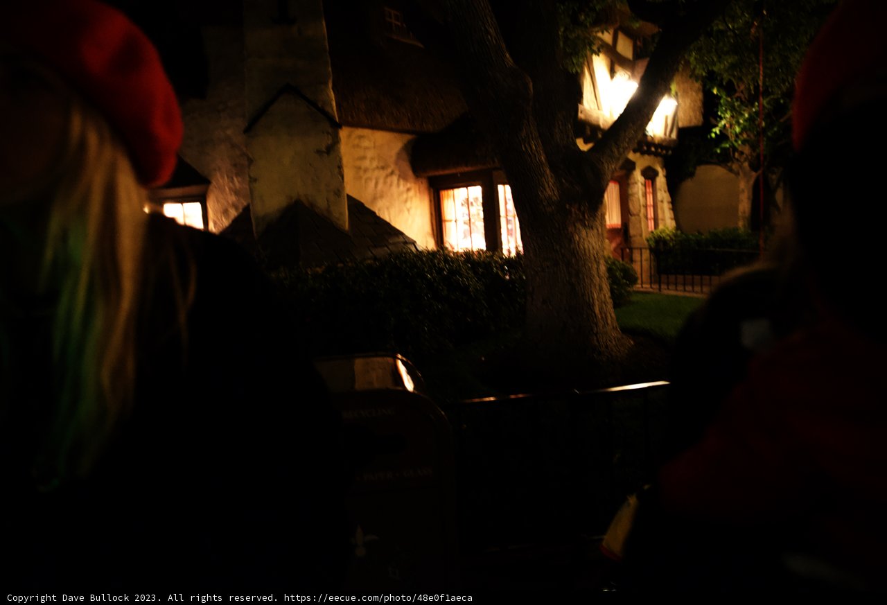 Magical Moments in Red Hats