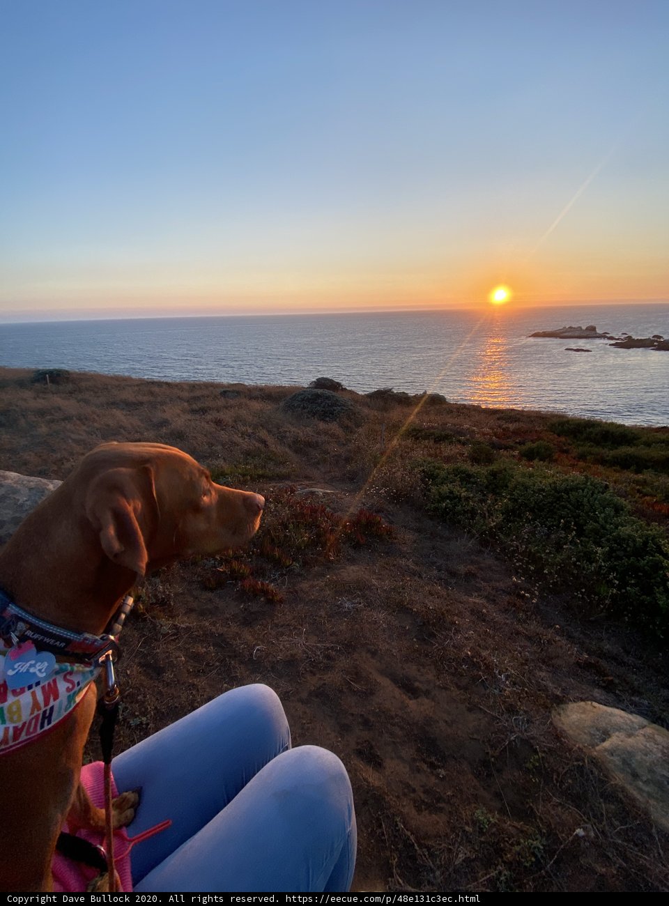 Overlooking Paradise