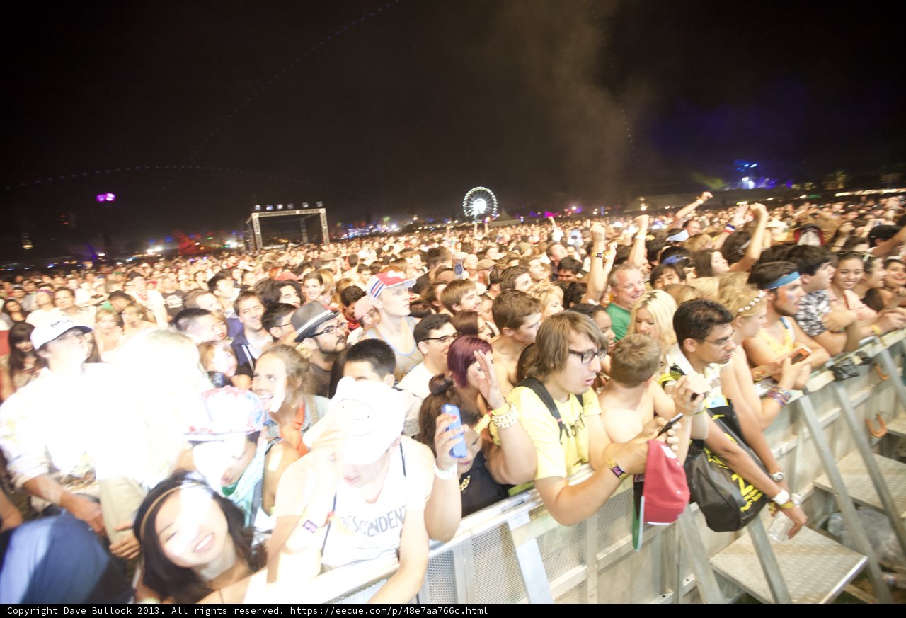 The Euphoric Crowd at Coachella Music Festival