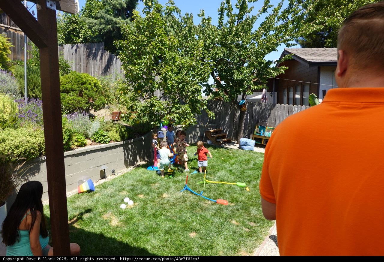 Summer Joy in the Backyard