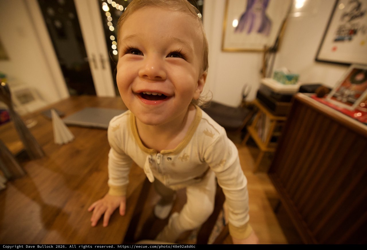 Joyful Toddler Portrait in Cozy Home Setting