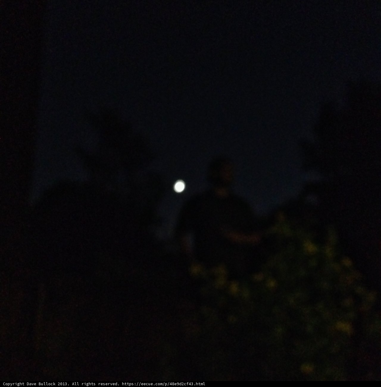 Nighttime Silhouette
