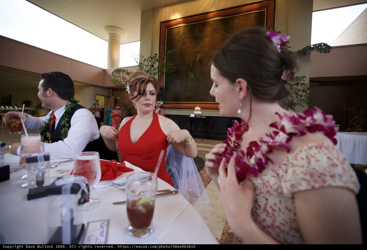 Hawaiian Wedding Reception Hula Dance Celebration