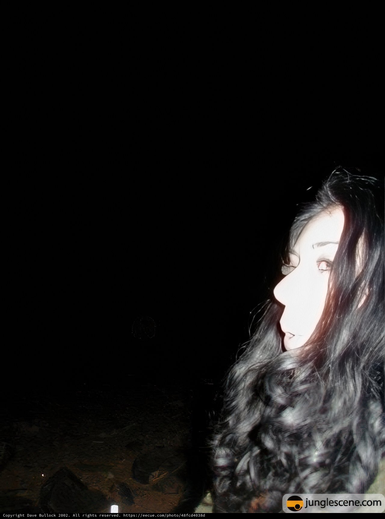 Nighttime Portrait of a Woman with Long Black Hair