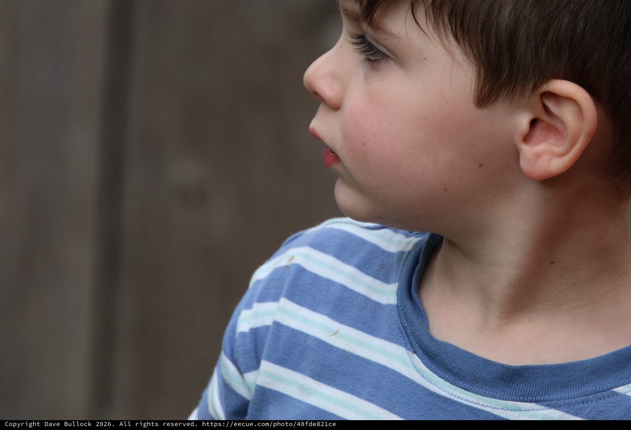 Young Boy in Striped Shirt Profile Portrait