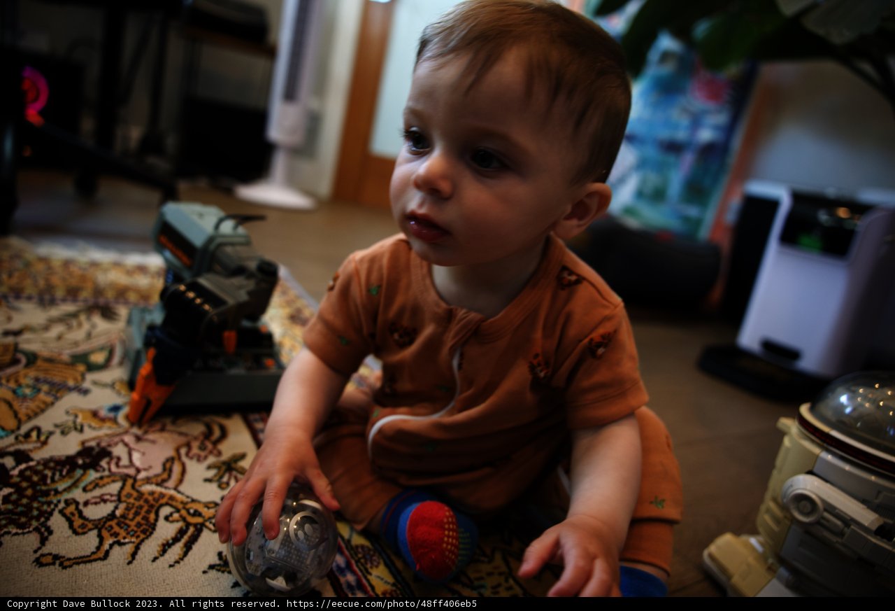 Adorable Playtime Moments
