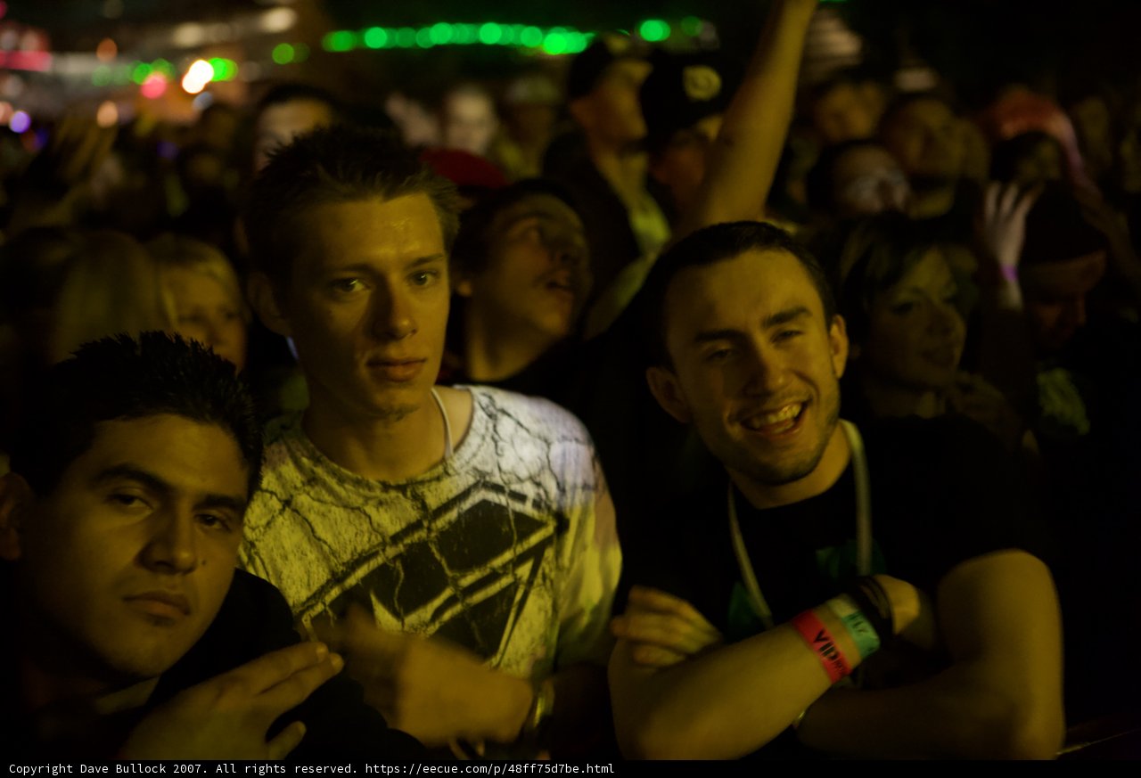 Nocturnal Groove