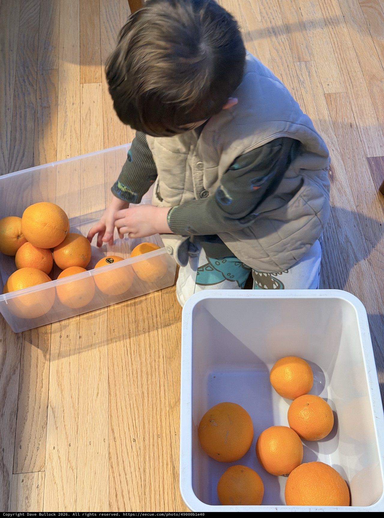 Young Child Sorting Oranges in Kitchen Activity