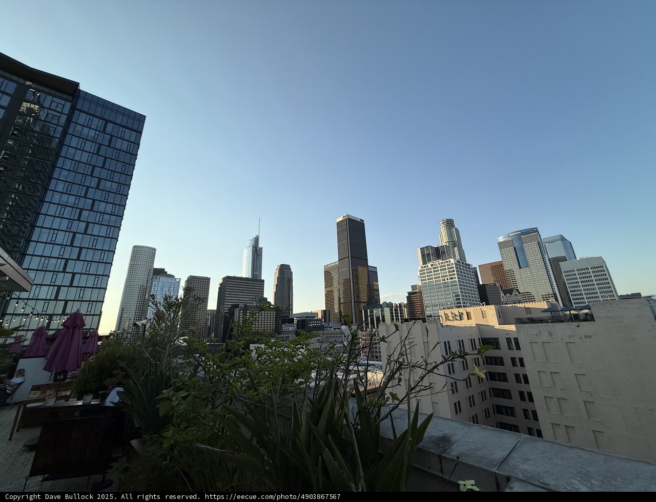 Serenity in the Urban Jungle
