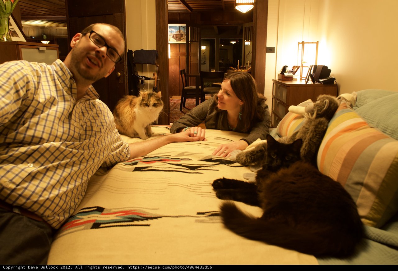 Couple Relaxing on Bed with Two Cats