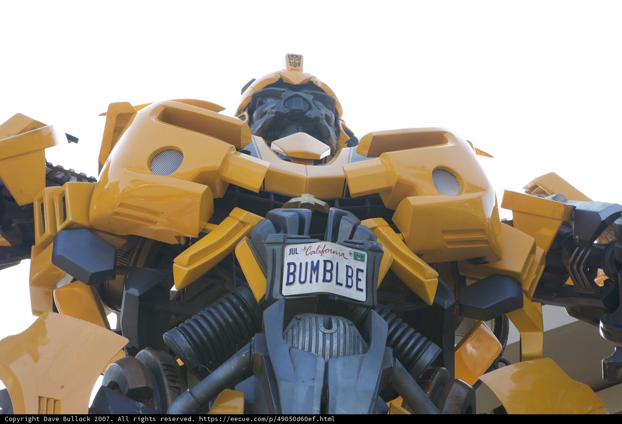 Bumblebee Robot