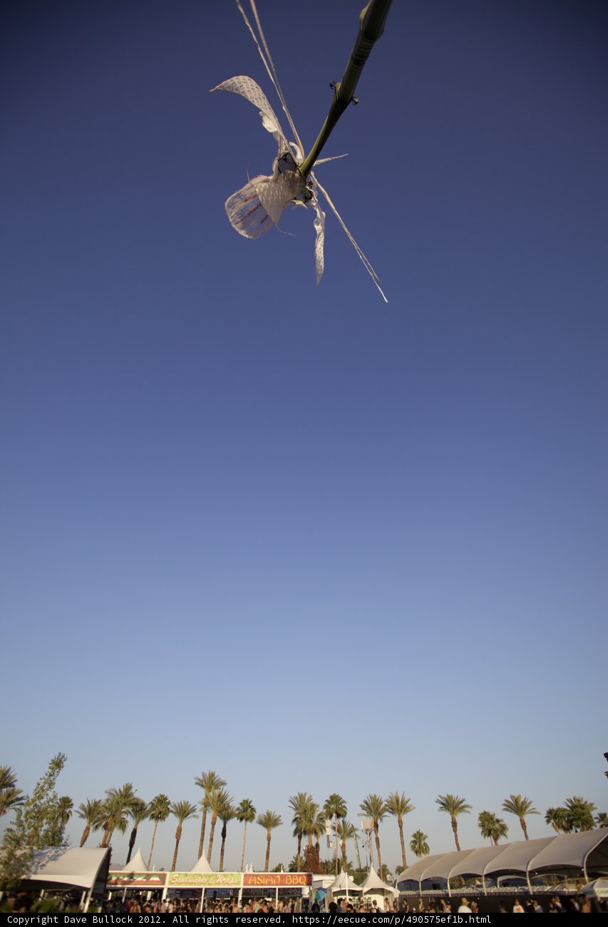 Soaring High in the Coachella Sky