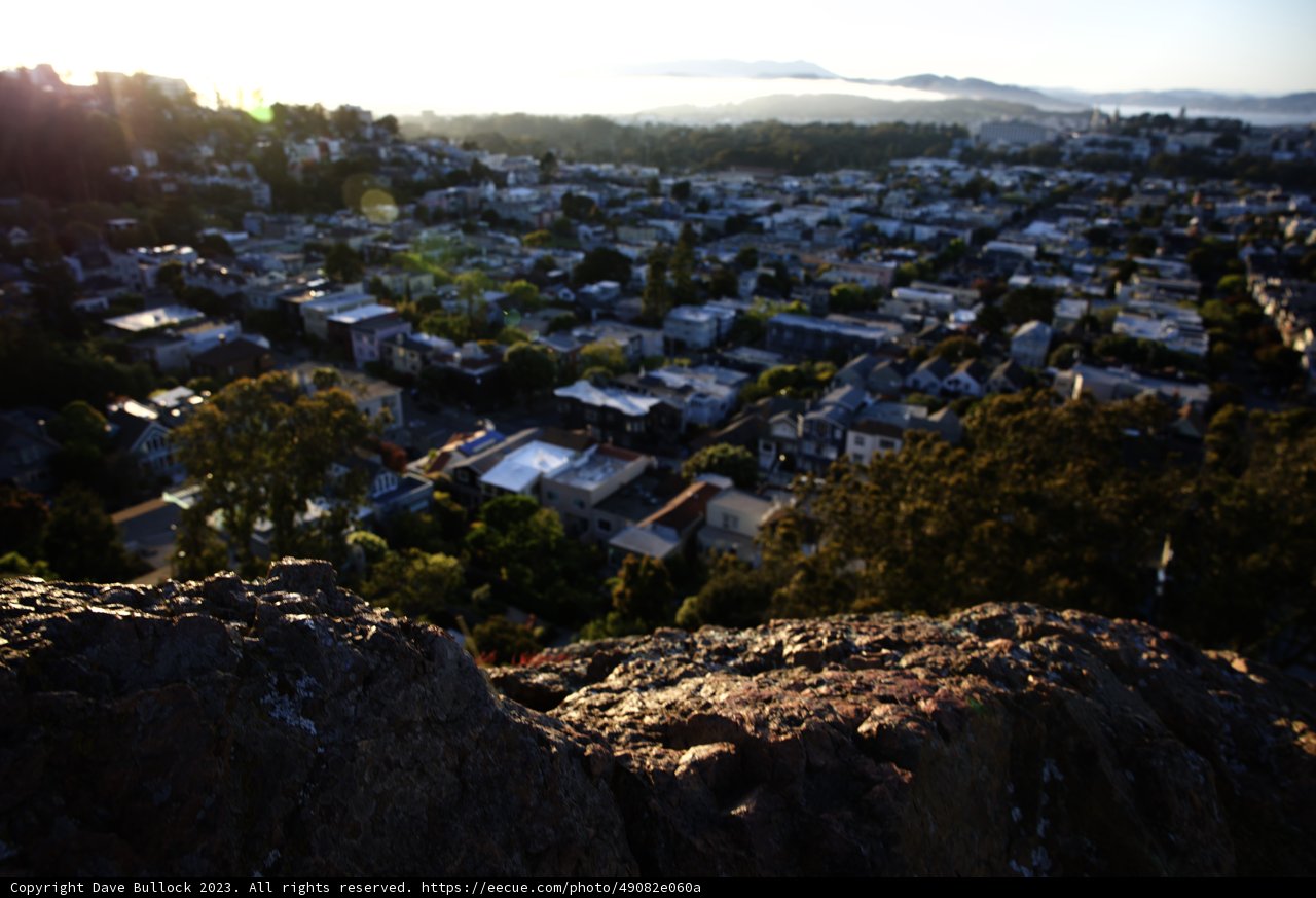 Overlooking Urban Wilderness