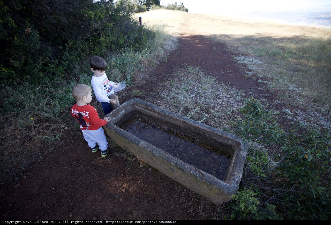 Young Explorers Discover Stone Trough on Mountain Trail