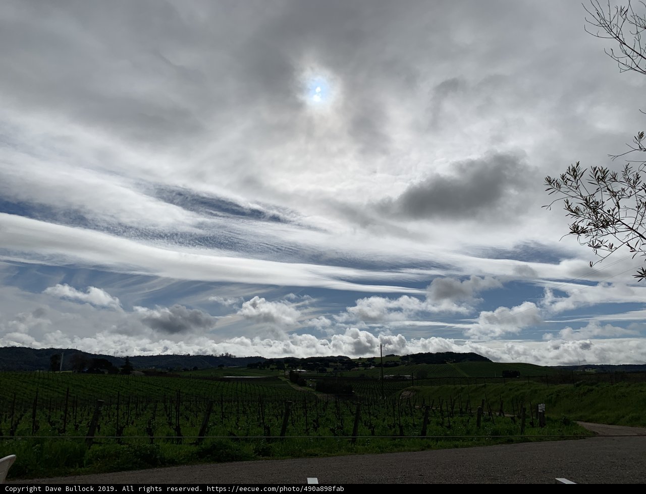 Cloudscape over Vineyards