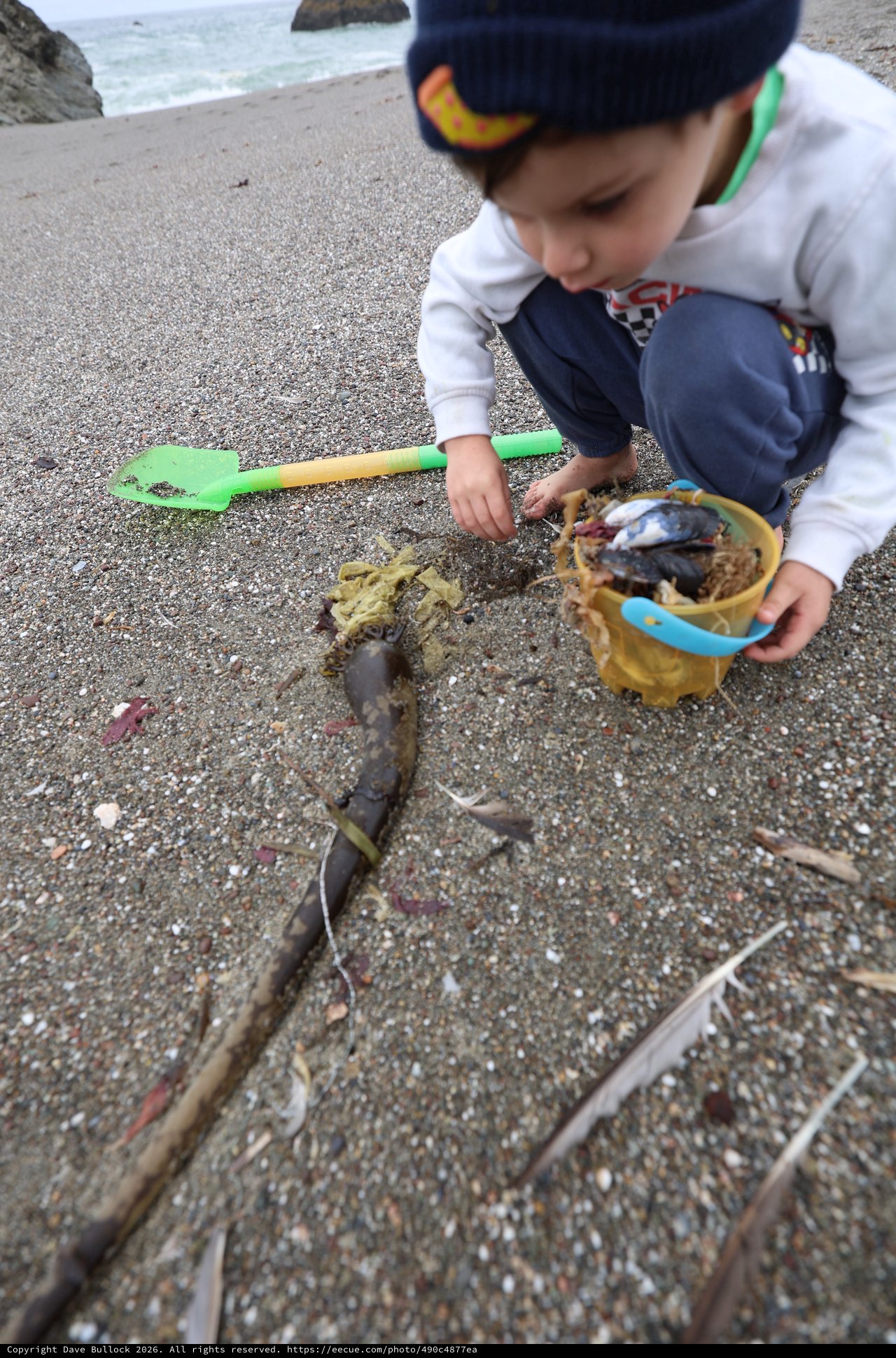 Young Explorer Collecting Beach Treasures at Low Tide