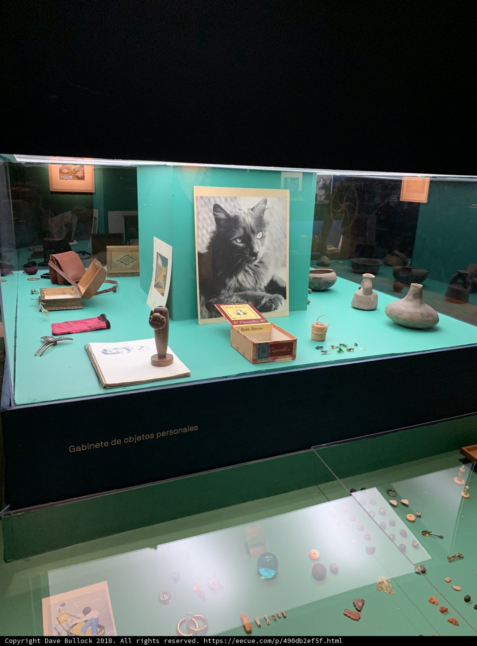 Feline Fine on a Display Case