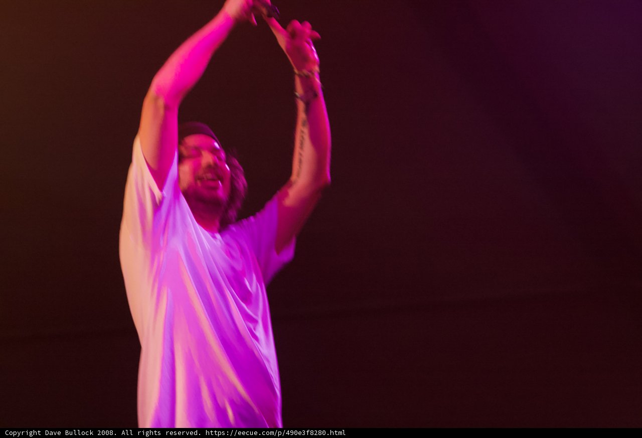 Dance Fever at Coachella