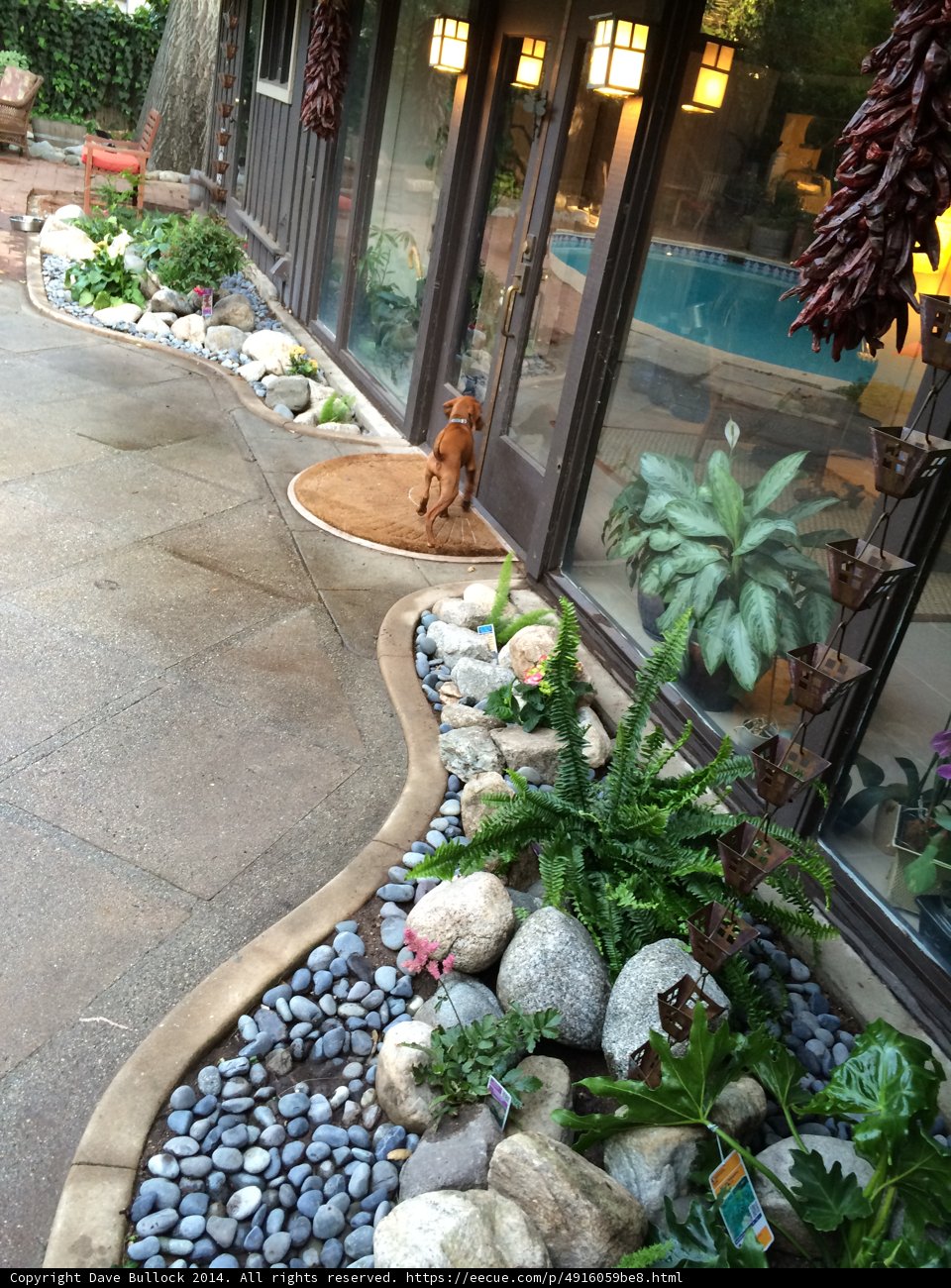 The Serene Patio of Altadena