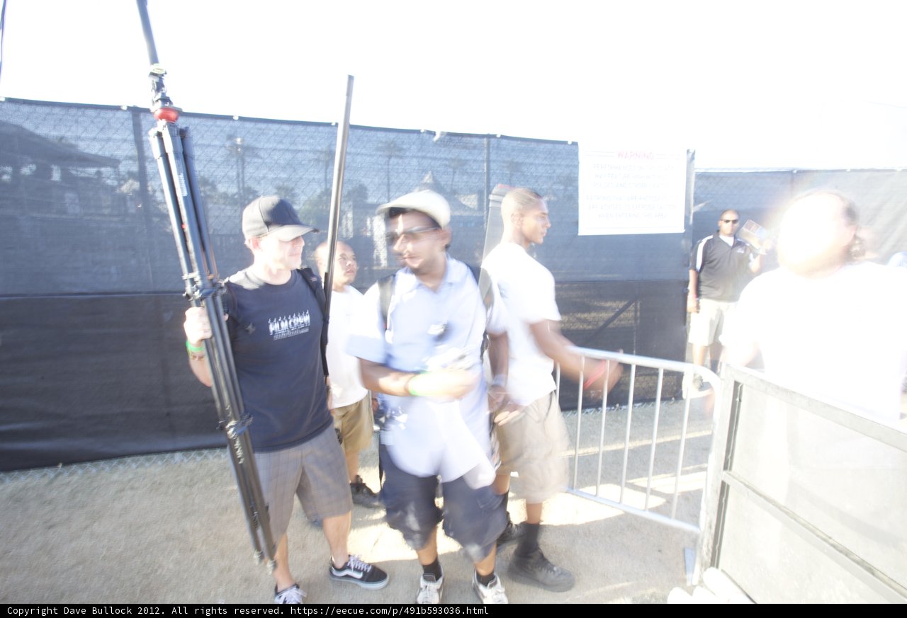 Hanging Around the Fence