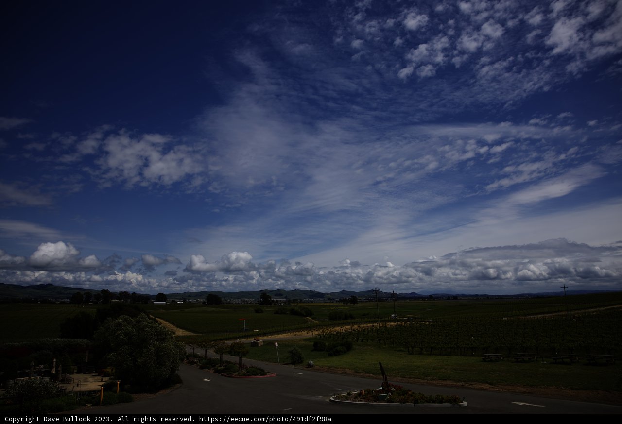 Breathtaking Vineyard Vista in Napa
